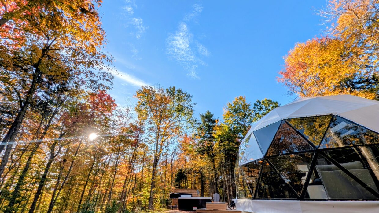 PXL_20251004_124720188.MP~2