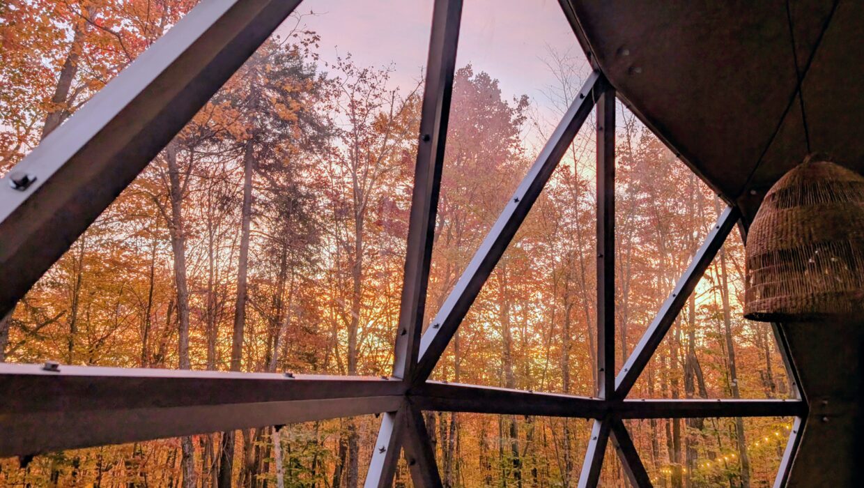 PXL_20251006_105000948~2